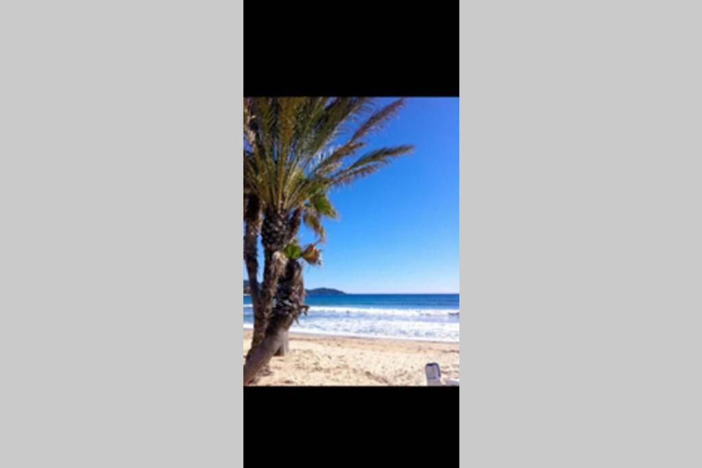 Au Petit Bonheur Vue Mer, Parking, 400m Appartamento *