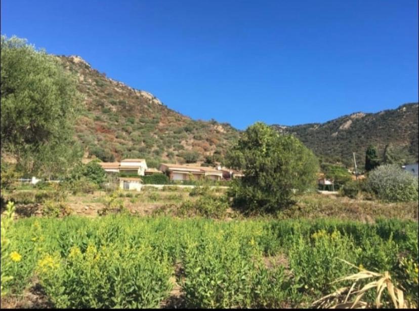 Au Petit Bonheur Vue Mer, Parking, 400m Apartment Le Lavandou
